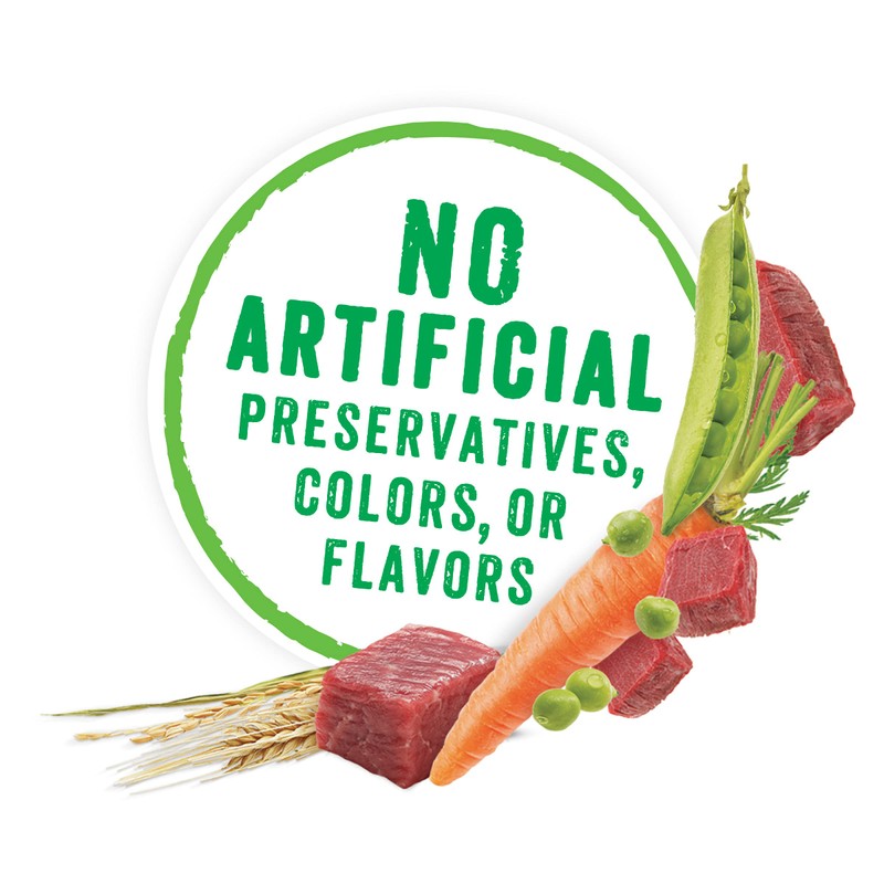 Purina Beneful Gravy Wet Dog Food, Prepared Meals Beef Stew