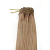 WIG ME UP - EX03-GGO-27T613 Clip-In Hair Extensions 8 pcs