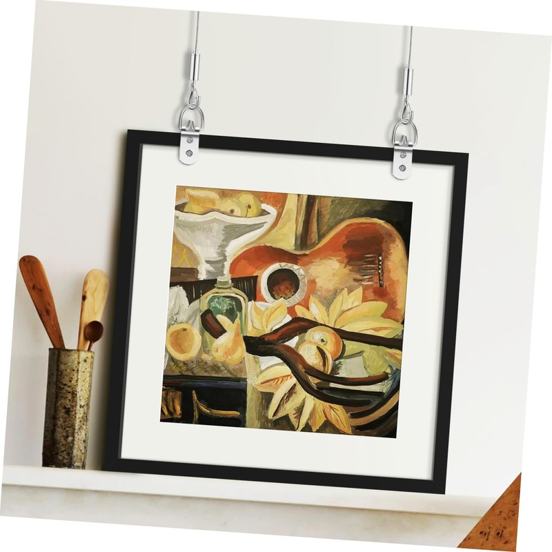 LALAFINA Picture Hanging Wire Kit with Double Hooks and Screws