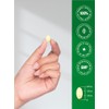 Horb Ach Odorless Garlic Softgels 200 Count Ultra Potent Extract