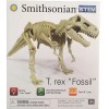 Smithsonian STEM T Rex "Fossil"