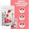 PowderVitamin Electrolytes Powder Plus, cetogénico, sandía, sin azúcar, 1000 mg