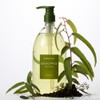 Aromatica Eucalyptus Body Care Set: Refreshing and Calming from Shower