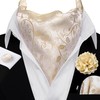 YOHOWA Men Ascot Tie Cravat Floral Champagne Gold Scarf Self