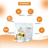 Herbal Magic's Organic Green Papaya (CARICA) Fruit Powder (Half Ripened)