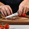 Klaus Meyer Arcelor Exclusive German Steel 4 Piece Steak Knife