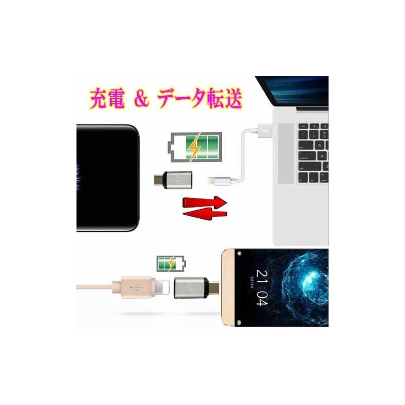 Lumen Lumen Lightning Female to USB Type-C Male Converter Adapter