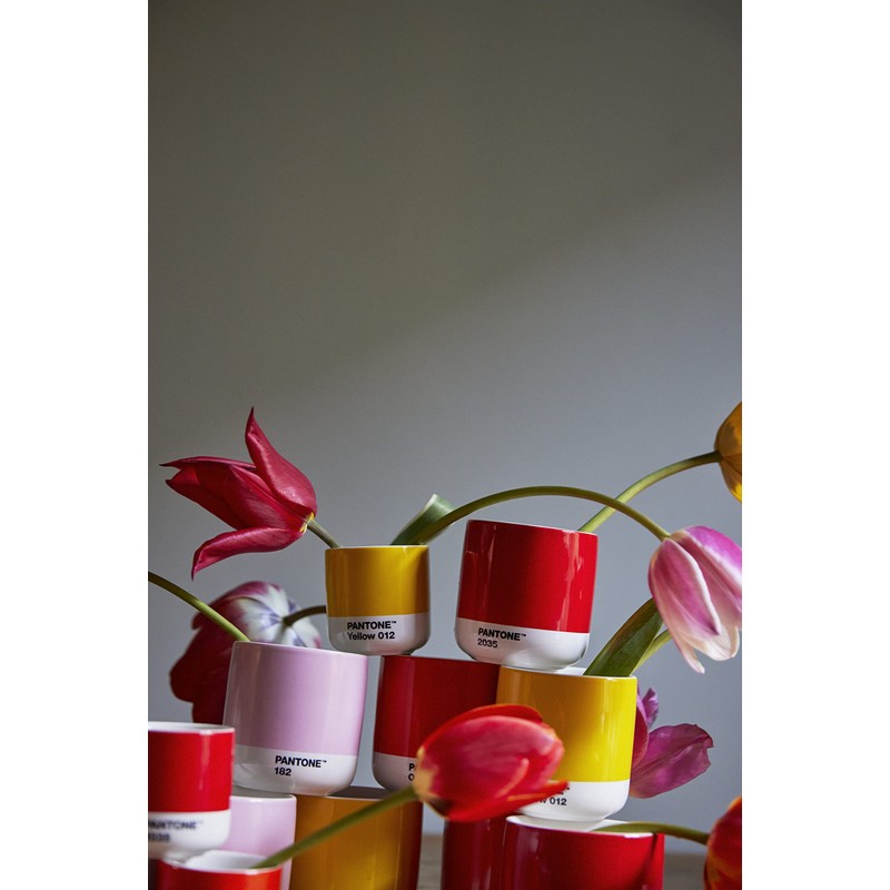 Pantone Latte Thermo Cup, 220ml, Light Pink