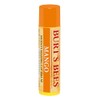 Burt's Bees 100% Natural Moisturizing Lip Balm, Mango with Beeswax
