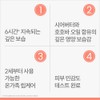 아벤느 콜드크림 너리싱 립 밤 4g 2개 Cold Cream Nourishing