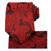 KissTies Mens Red Tie And Pocket Square Paisley Necktie