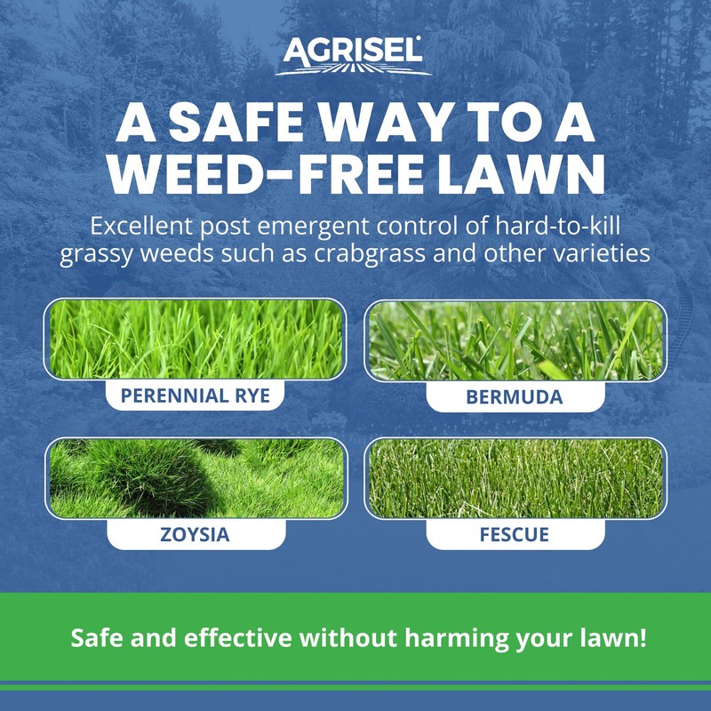 Agrisel QuinKill Max Weed Killer, Post-Emergent, Targets Tough Weeds, Lawn-Friendly,