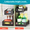 Under Sink Organizer, 1 Packs 2 Tier Under Sink Organizers
