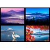 TAKASHI Mt. Fuji Postcard "Mt. Fuji Bikei 12 Piece Set"