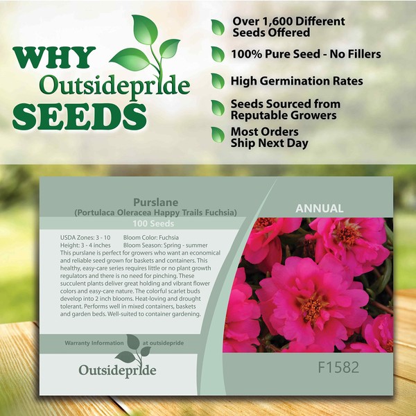 Outsidepride 100 Seeds Annual Portulaca Oleracea Fuchsia Purslane Succulent Seeds