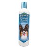 Protein Lanolin Tearless Conc. Shampoo 12oz
