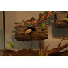 AQUA KT Reptile Tree Trunk Hideout Hollow Log Sleeping Cave