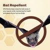 Donaldson Farms Bat Repellent Spray 16oz