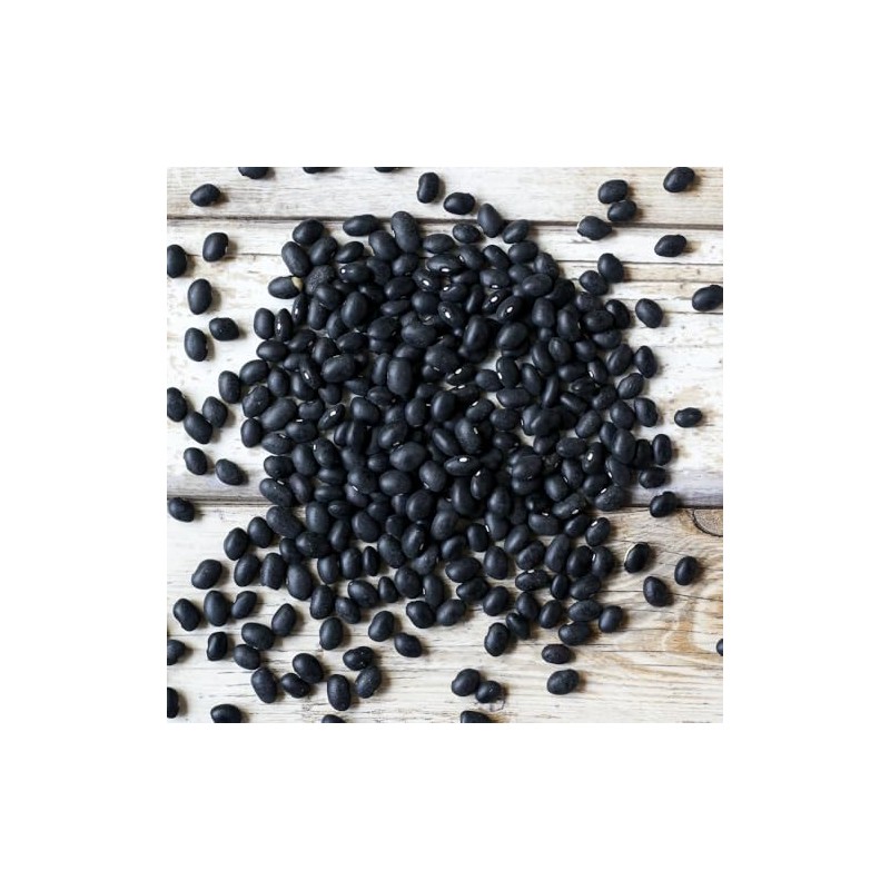 Organic Black Turtle Beans | Heirloom | NON-GMO | USA