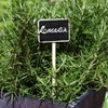 La Cordeline CJNBA2 Bag 5 plants Plaques 7 "x 5