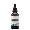 Secrets of the Tribe White Willow Alcohol-Free Liquid Extract, White