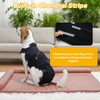 LeleTail Adjustable Back Support for Medium Dogs - Joint Support