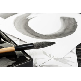 Clairefontaine Lavis 96337C Drawing Pad (40 Sheets, 250 g, 21 x 29.7 cm, Ideal for Wet Technique and Lavation, Glued) White