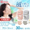 [アイリスオーヤマ] マスク 不織布 ナノエアーマスク プリーツマスク 30枚入 ふつうサイズ 息快適 個包装 夏マスク
