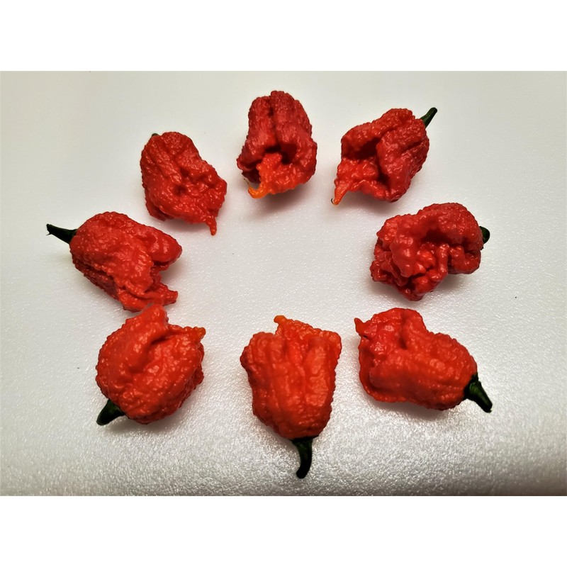 Dragons Breath Pepper Seeds