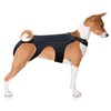 NeoAlly Dog Back Brace for Dogs Arthritis, IVDD, Spinal Surgical
