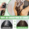 Shampoo para Canas, Hair Dye Shampoo 3 en 1 de