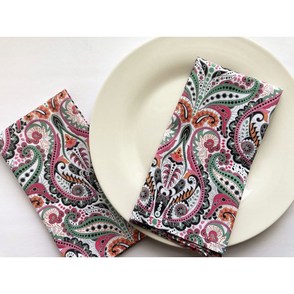 Aria Set of 2 Paisley Print Napkins - 17 inches