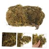 Operitacx Vivid Artificial Moss for DIY Moss Projects Decorative Terrarium