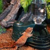 REPTI ZOO Water Feeder and Fogger, 2 in 1 Reptile