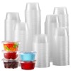 [260 Sets - 2 oz ] Jello Shot Cups, Small