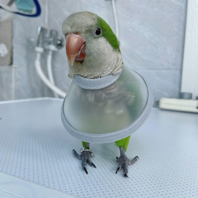Adjustable Parrot Cone Collar, Safe and Practical Cotton Collar to