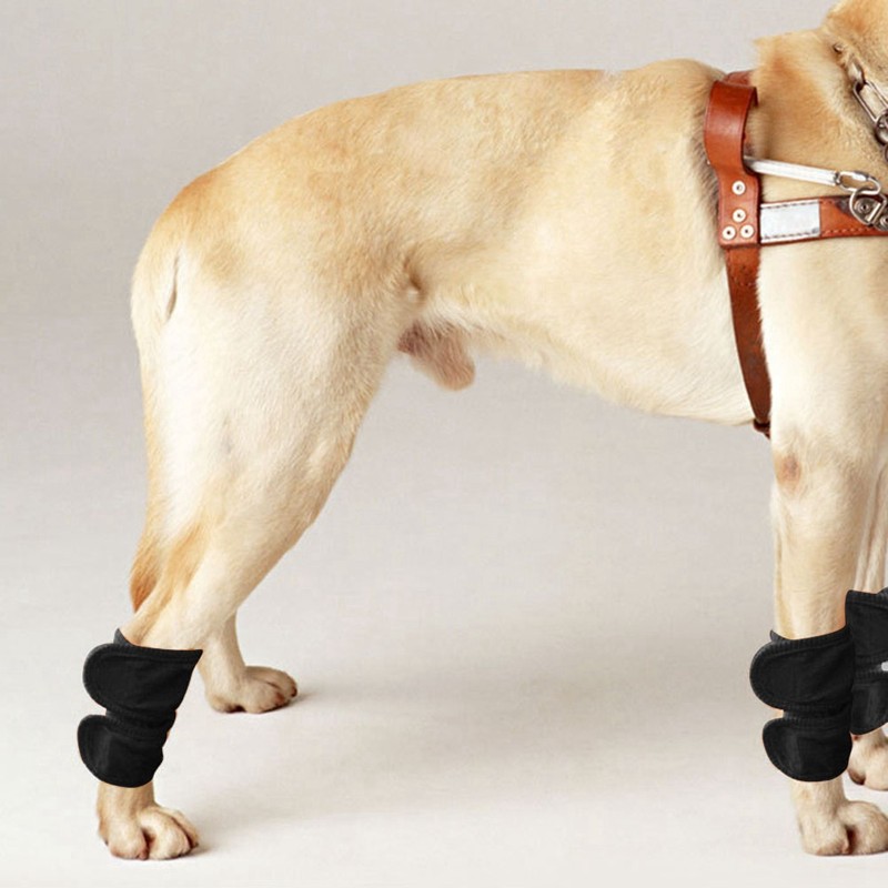 2pcs Dog Cat Leg Brace Elbow Protector Warm Knee Pads