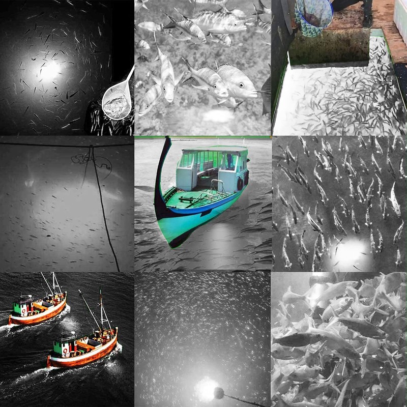SAMDO Underwater Fishing Light Lamp IP68 12V 180 SMD LED