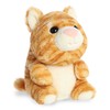 Aurora® Adorable Boop™ Marmalade™ Stuffed Animal - Playful Interaction -