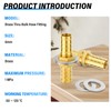 TAILONZ PNEUMATIC 5PCS Brass Hose Thru-Bulk Bulkhead Fitting 6mm to
