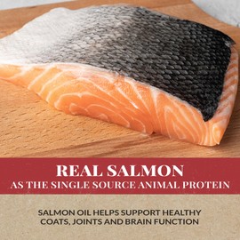 Dr. Pol Grain Free Salmon Dog Food - Premium Natural Dry Dog Food, Limited Ingredient High Protein Veterinarian Formulated Kibble for Any Size or Stage, Allergies, Sensitive Stomach, Salmon 12lb Bag