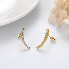 Women's Stud Earrings Silver 925 Small Pea Stud Earrings White Gold/Gold/Rose Gold Earrings Sparkling Stud Earrings Piercing Ear Tragus Lips Jewellery Women Girls Gifts, Silver, Cubic Zirconia