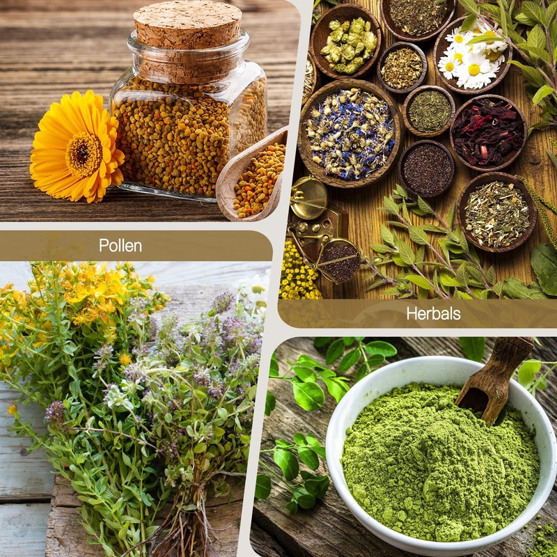 somwherr Tray with Replaceable 150 Micron Fine Mesh Screen &