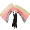 MUNAFIE Worship Flags 2 Pieces Praise Dance Flags Rectangle Colourful