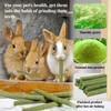 Sukh 300g Rabbit Toys - Natural Timothy Hay Sticks, Apple