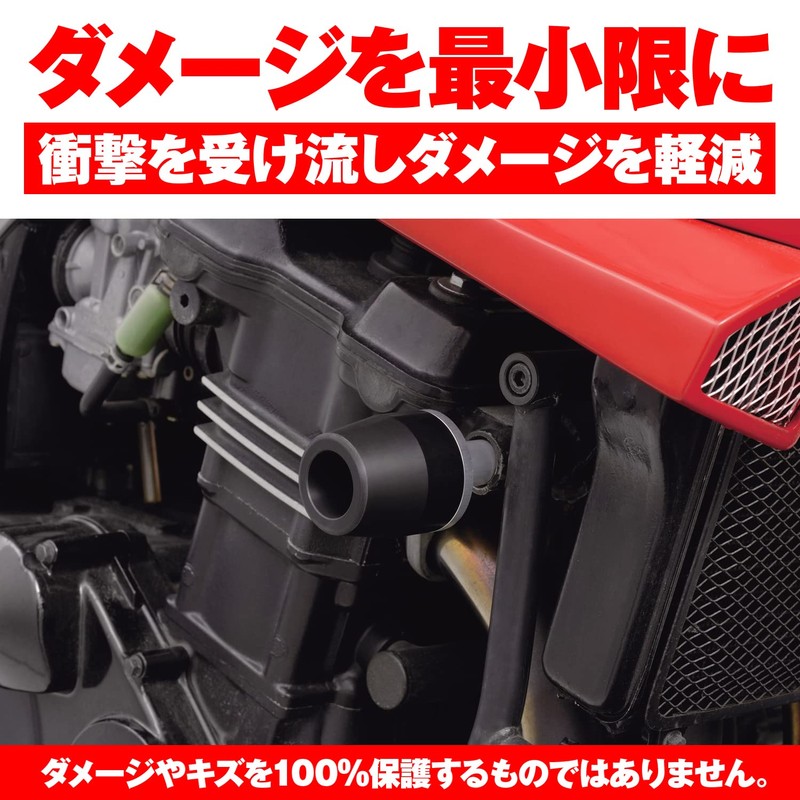 Daytona (DAYTONA) Private cars engine protector [GPZ900R (all year)] 79946