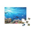 puzzleYOU: 100 Piece Underwater Scene with Coral Reef, Fishes, Sharks,