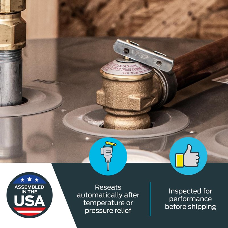 Cash Acme 3/4 Inch RV FWL-2 Pressure Relief Valve, Bronze,