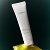 Frejus Eoseongcho Blemish Cleansing Gel Balm 100ml / 프레쥬 어성초