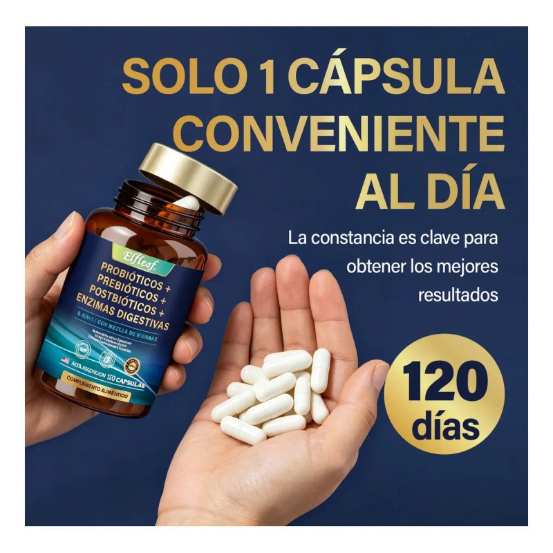 Probióticos, Prebióticos, Postbióticos y Enzimas Digestivas | Fórmula Avanzada para